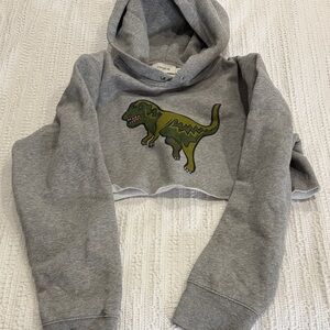 Coach Gray Hoodie with Dinosaur Motif